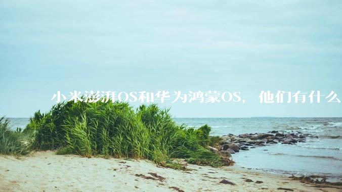 小米澎湃OS和华为鸿蒙OS，他们有什么不一样，谁更有发展前途？