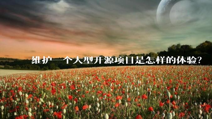 维护一个大型开源项目是怎样的体验？