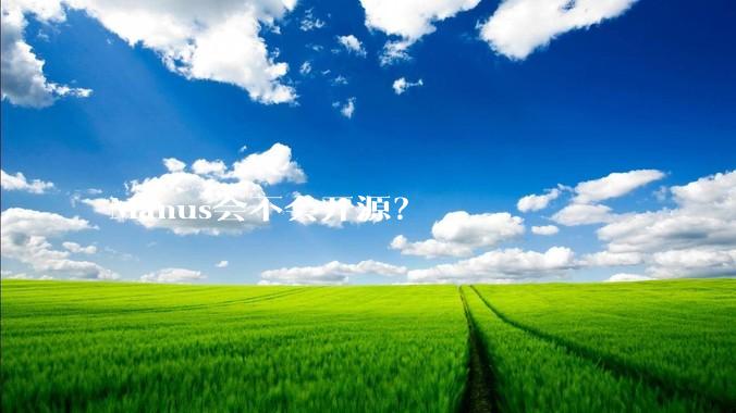 Manus会不会开源？