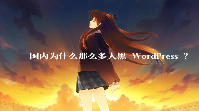 国内为什么那么多人黑 WordPress ？