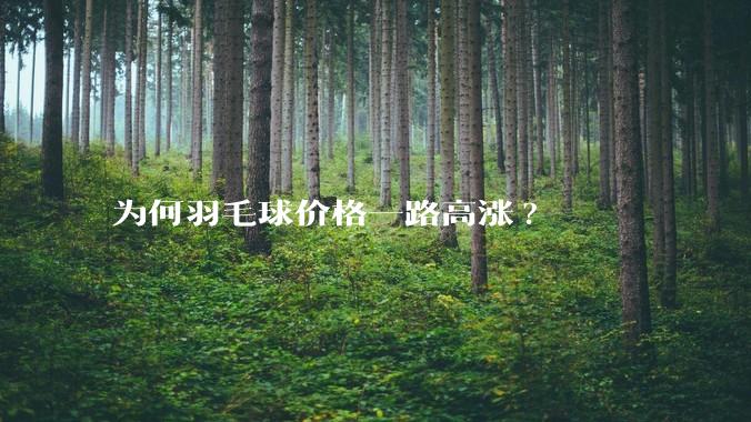 为何羽毛球价格一路高涨?