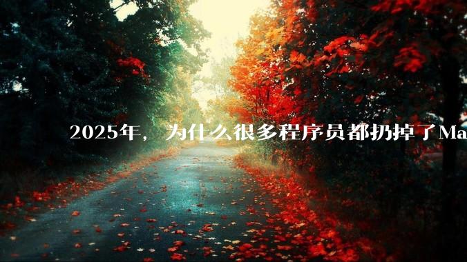 2025年，为什么很多程序员都扔掉了Mac和Linux，开始拥抱Win11了？