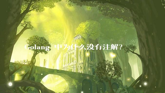 Golang 中为什么没有注解？