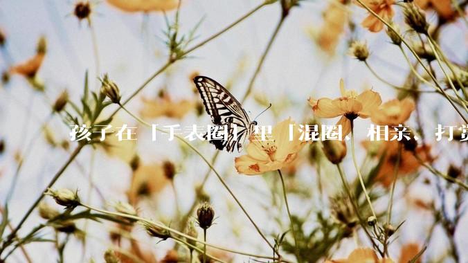 孩子在「手表圈」里「混圈、相亲、打赏积分」，为何孩子们的通讯工具会变得这么「乱」？家长该怎么引导？