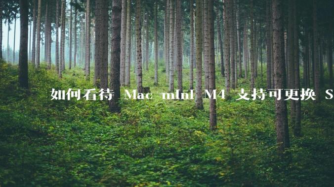 如何看待 Mac mini M4 支持可更换 SSD？