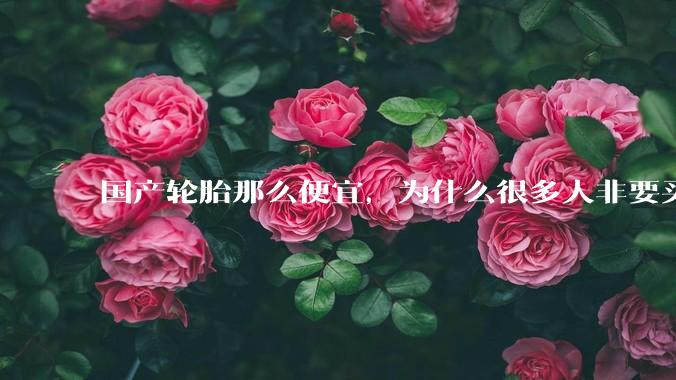 国产轮胎那么便宜，为什么很多人非要买高价的国外轮胎？?