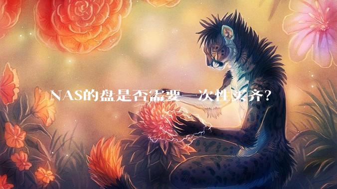 NAS的盘是否需要一次性买齐？