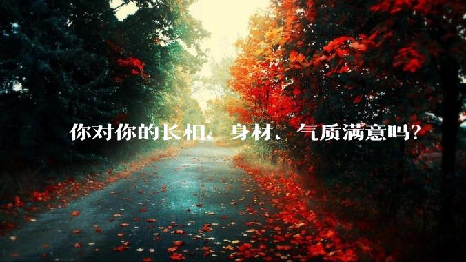你对你的长相、身材、气质满意吗？