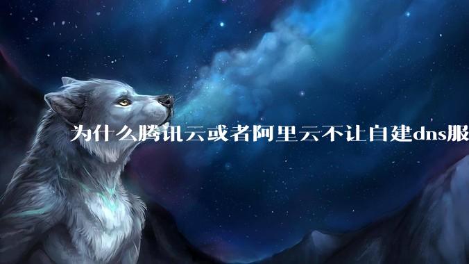 为什么腾讯云或者阿里云不让自建dns服务器?