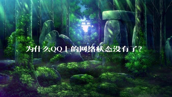 为什么QQ上的网络状态没有了？