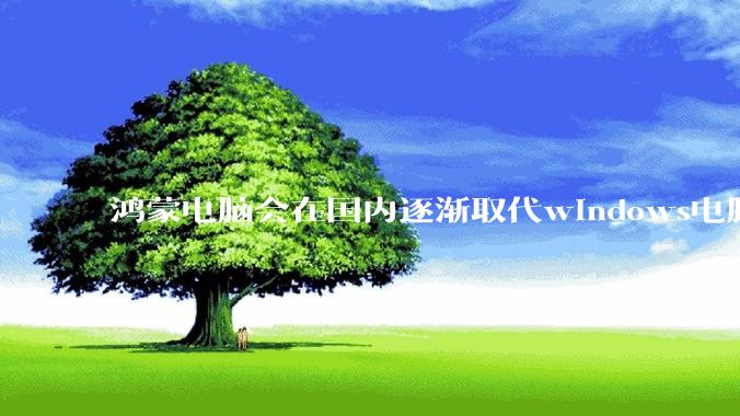 鸿蒙电脑会在国内逐渐取代windows电脑吗？