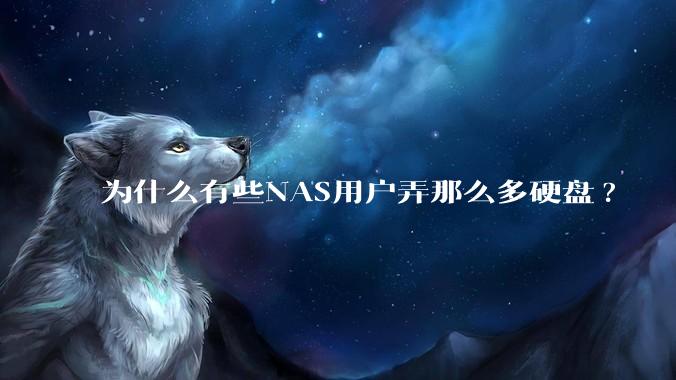 为什么有些NAS用户弄那么多硬盘?
