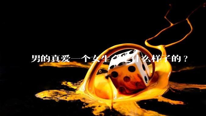 男的真爱一个女生会是什么样子的?
