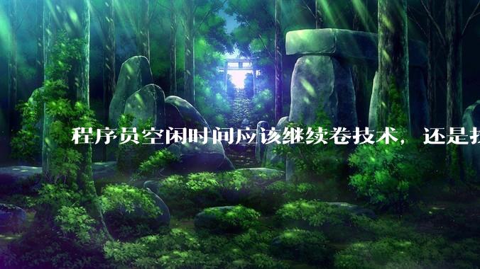 程序员空闲时间应该继续卷技术，还是找其他副业？