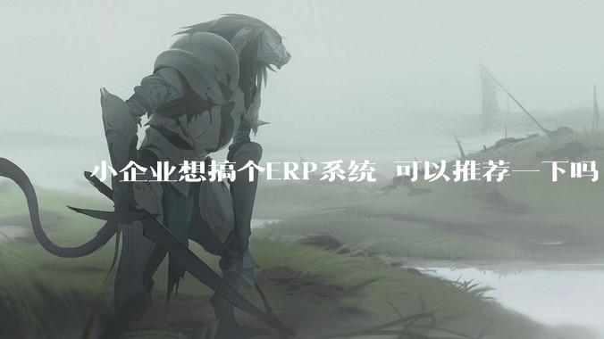 小企业想搞个ERP系统 可以推荐一下吗?