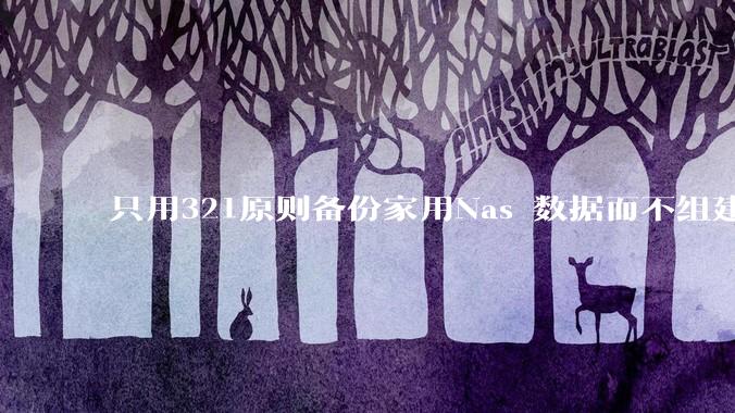 只用321原则备份家用Nas 数据而不组建raid阵列的人，不怕哪天备份全部同时损坏导致无法恢复吗？