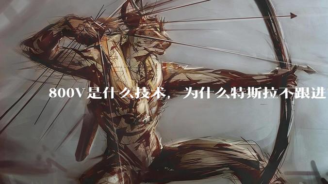 800V是什么技术，为什么特斯拉不跟进？