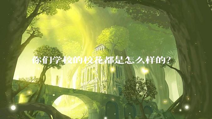 你们学校的校花都是怎么样的？